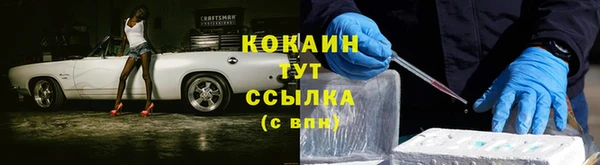 гашик Зерноград