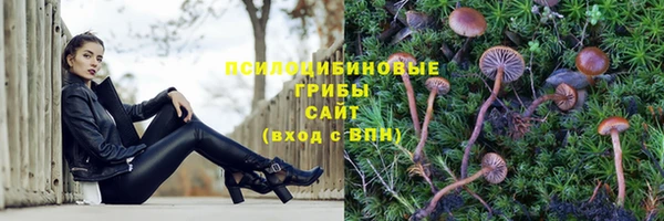 кристаллы Каменка