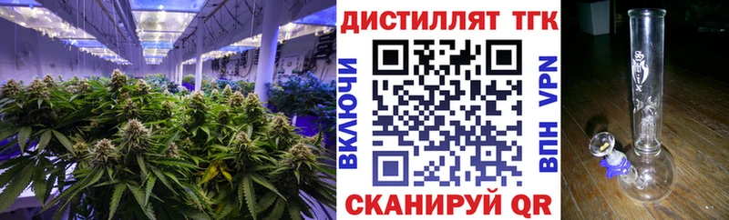 Дистиллят ТГК THC oil  Купить закладки  Пролетарск 